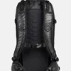 Burton [ak]® Dispatcher 25L ryggsäck (prov)