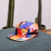 Burton Artist Series-keps