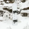 Burton Family Tree 3D Deep Daze Snowboard Burton Family Tree 3D Deep Daze Snowboard