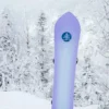 Burton Family Tree 3D Double Dog Camber Snowboard Burton Family Tree 3D Double Dog Camber Snowboard