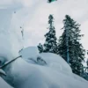 Burton Family Tree Big Gulp Camber Snowboard Burton Family Tree Big Gulp Camber Snowboard