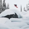 Burton Family Tree Hometown Hero Camber Snowboard Burton Family Tree Hometown Hero Camber Snowboard