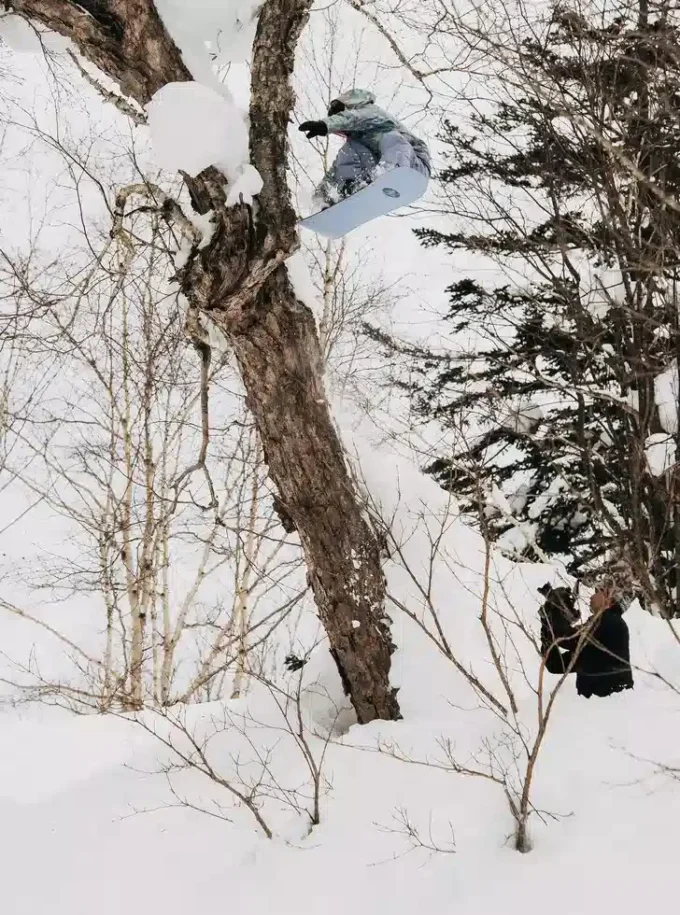 Burton Family Tree Hometown Hero Camber Snowboard Burton Family Tree Hometown Hero Camber Snowboard