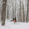 Burton Family Tree Resonator Pow Surfing Snowboard Burton Family Tree Resonator Pow Surfing Snowboard