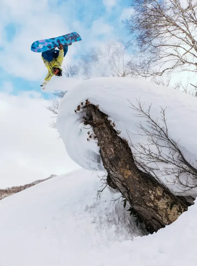Burton Family Tree Sketch Artist Camber Snowboard Burton Family Tree Sketch Artist Camber Snowboard