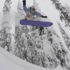 Burton One World Family Tree Backseat Driver Snowboard Burton One World Family Tree Backseat Driver Snowboard