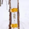 Burton Process Camber snowboard för herr Burton Process Camber snowboard för herr