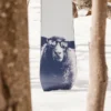 Burton Yeasayer Flying V snowboard för damer Burton Yeasayer Flying V snowboard för damer